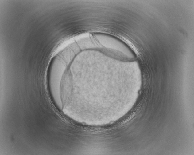 X0000115150885200912081344