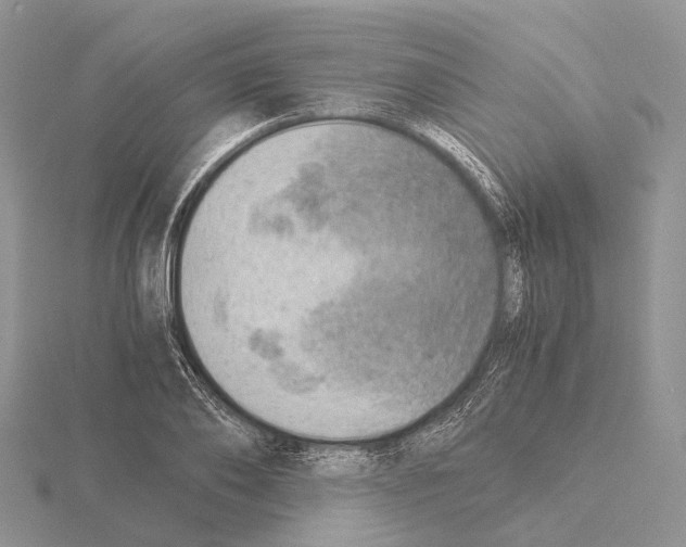 X0000115150886200912081344