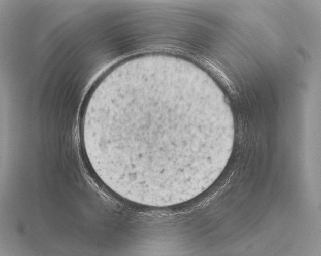 X0000115150888200912081344