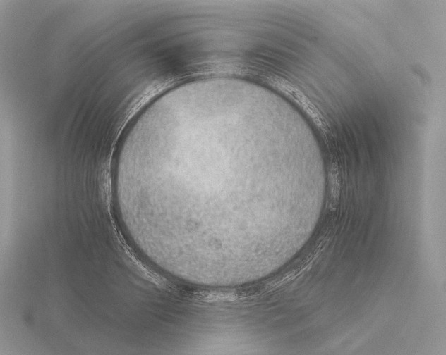 X0000115150890200912081344