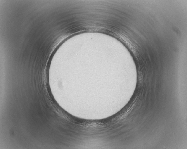 X0000115150891200912081344