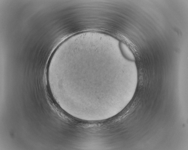 X0000115150892200912081344