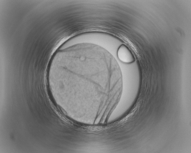 X0000115150893200912081344