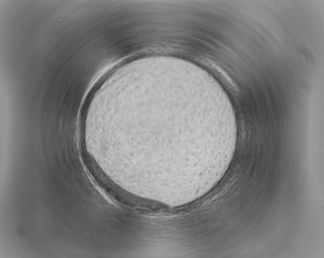 X0000115150894200912081344