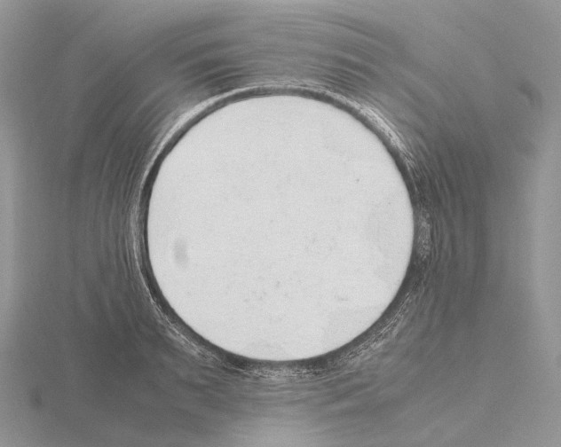 X0000115150895200912081344