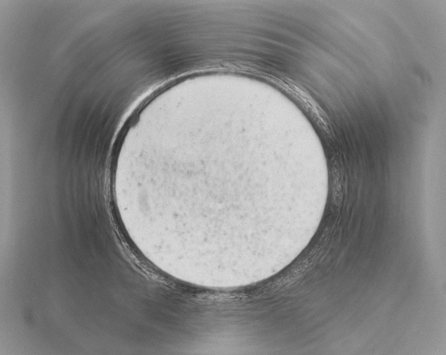 X0000115150896200912081344