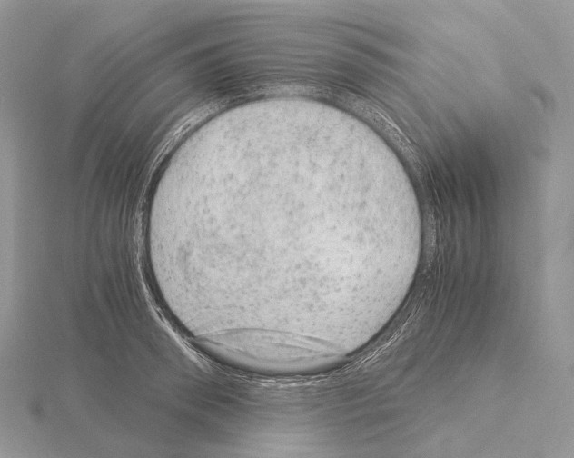 X0000115150898200912081344