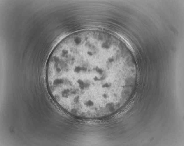 X0000115150899200912081344