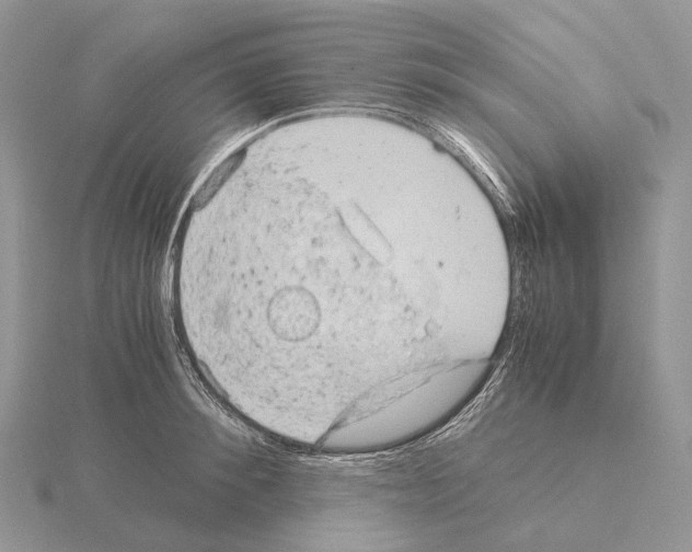 X0000115150900200912081344