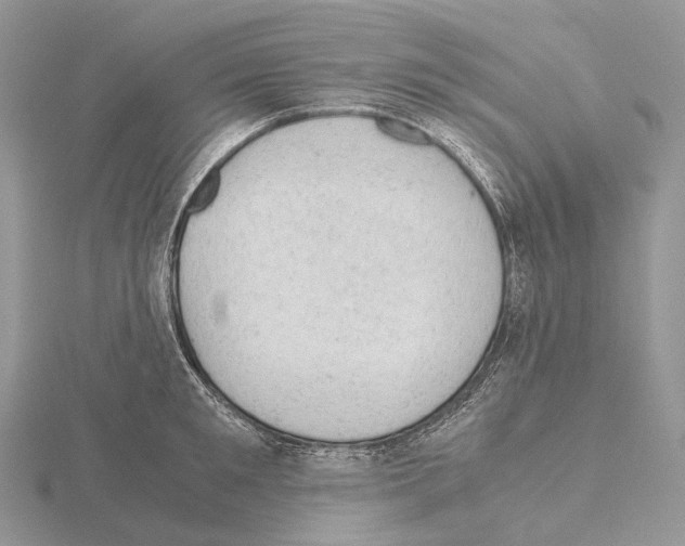 X0000115150901200912081344