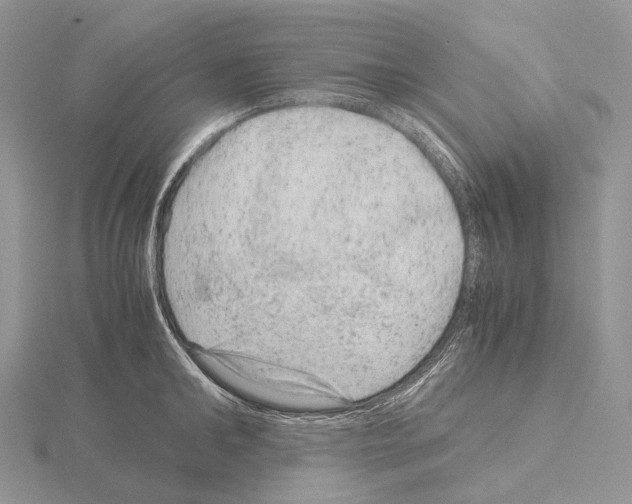 X0000115150902200912081344