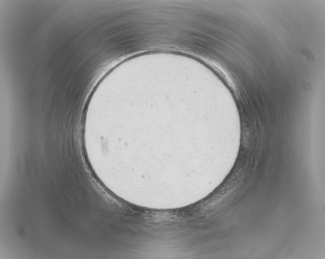 X0000115150903200912081344