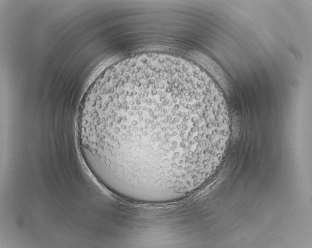 X0000115150906200912081344