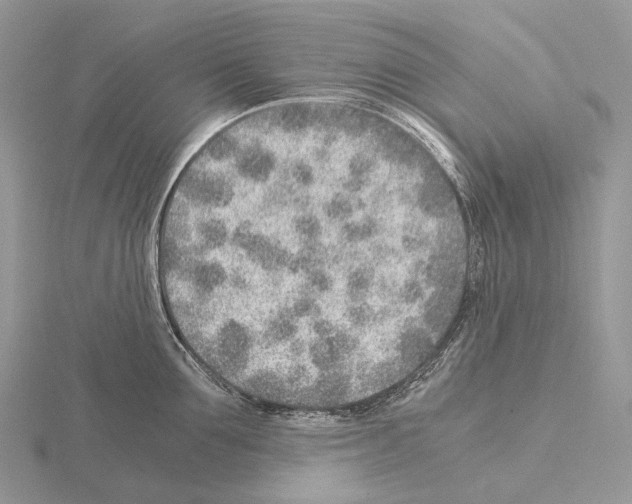 X0000115150907200912081344