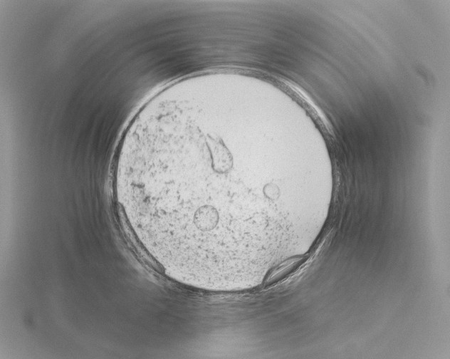 X0000115150908200912081344