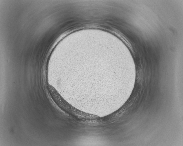 X0000115150911200912081344