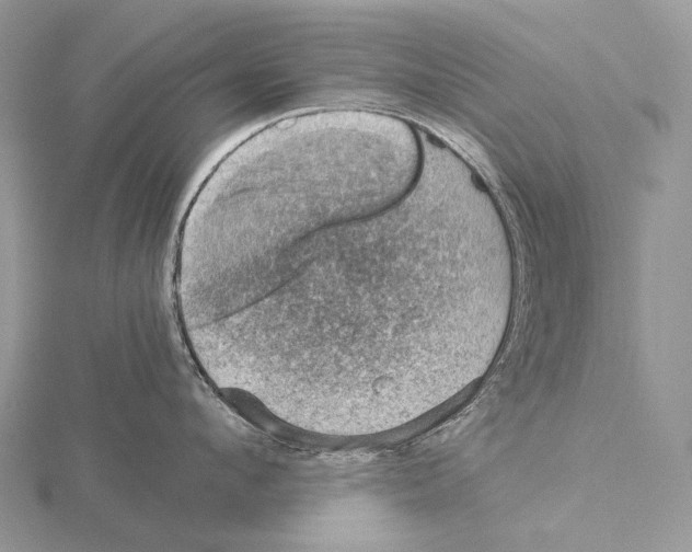 X0000115150912200912081344