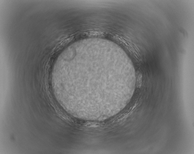 X0000115150913200912081343