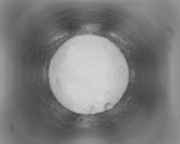 X0000115150917200912081343