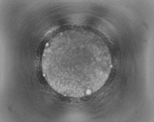 X0000115150918200912081343