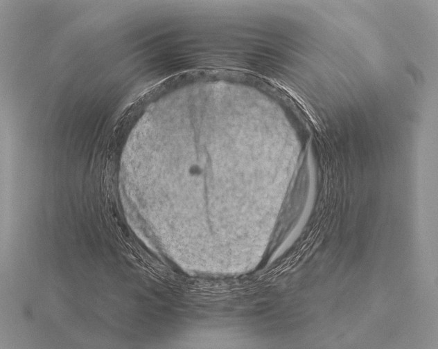 X0000115150919200912081343