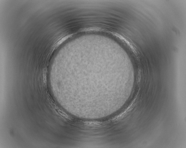 X0000115150921200912081343