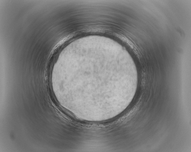 X0000115150922200912081343