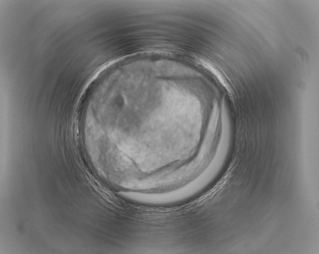 X0000115150923200912081343