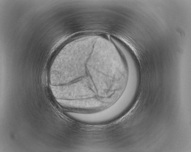 X0000115150925200912081343