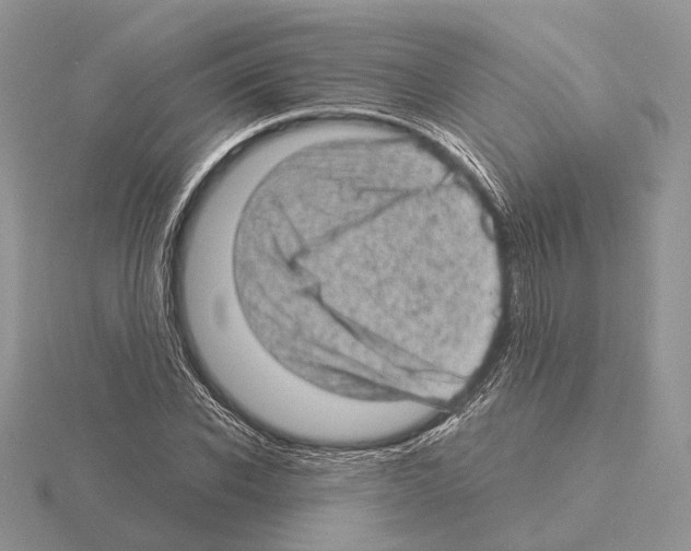 X0000115150926200912081343