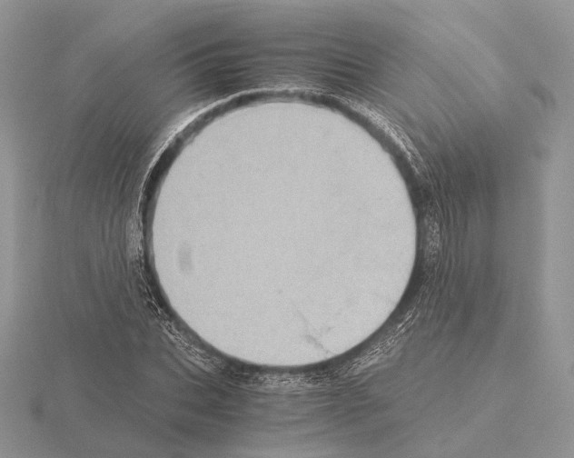 X0000115150927200912081343