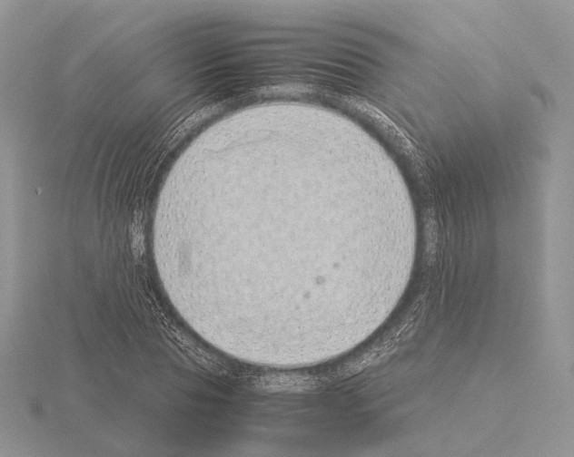 X0000115150929200912081344