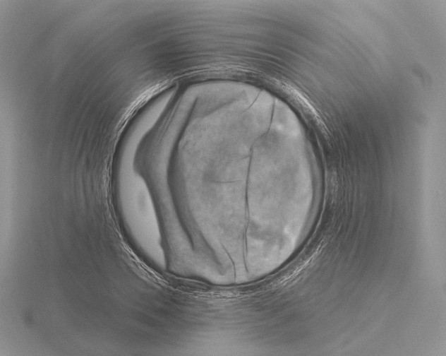 X0000115150930200912081344