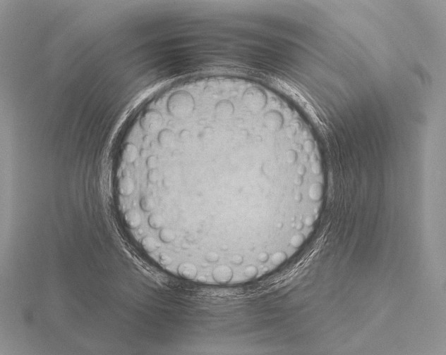 X0000115150931200912081344