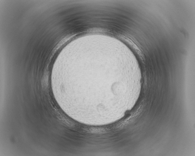 X0000115150933200912081344