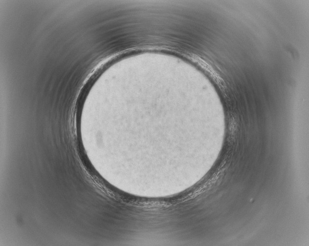 X0000115150934200912081344