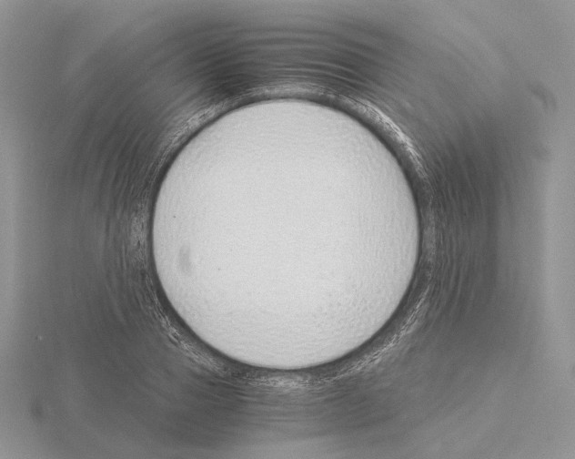 X0000115150937200912081344