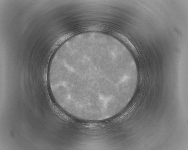 X0000115150938200912081344