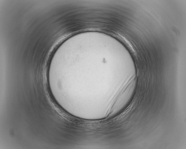 X0000115150939200912081344