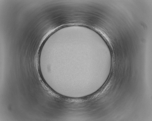 X0000115150941200912081344