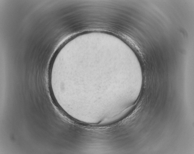 X0000115150942200912081344