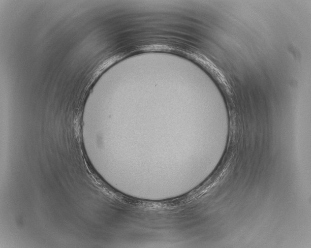 X0000115150945200912081344