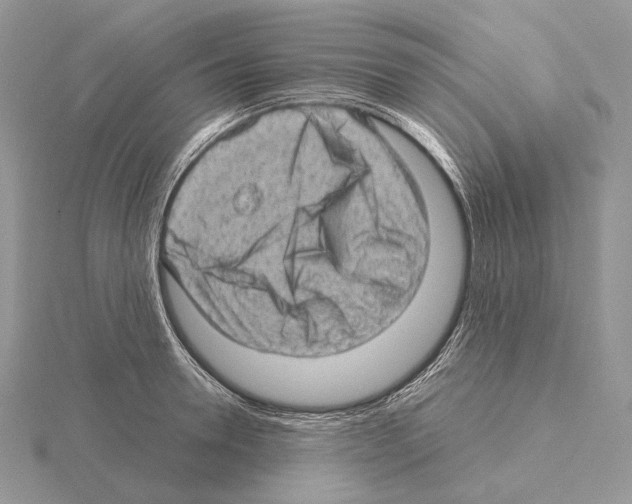 X0000115150946200912081344