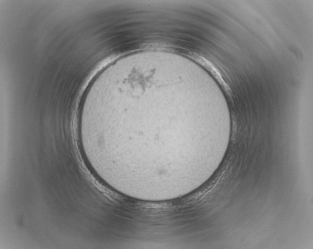 X0000115150947200912081344