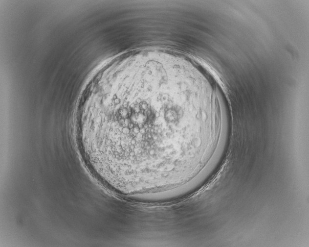 X0000115150949200912081344