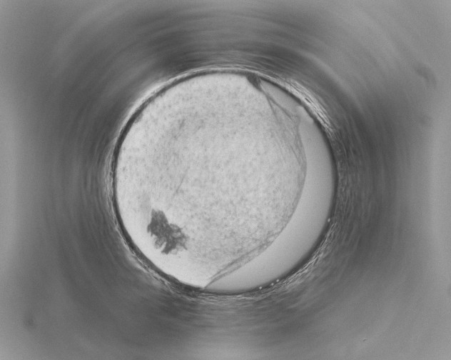 X0000115150950200912081344