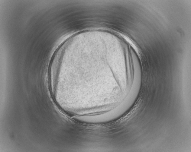 X0000115150951200912081344