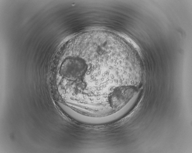 X0000115150953200912081344