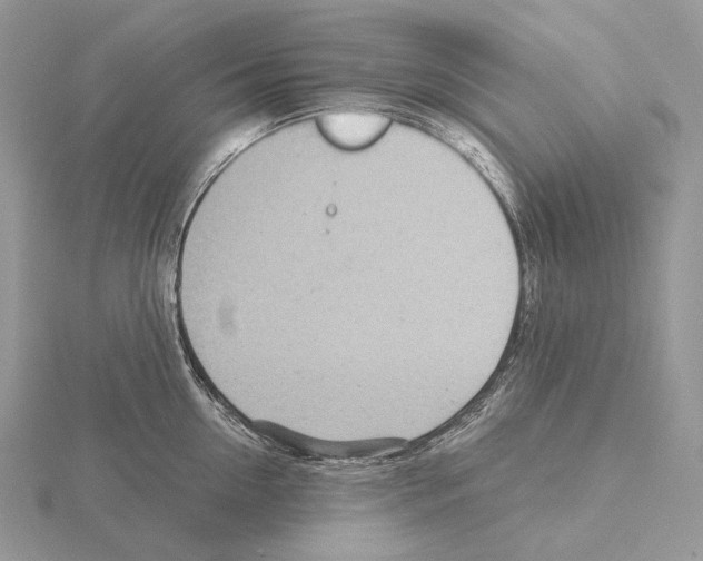 X0000115150954200912081344