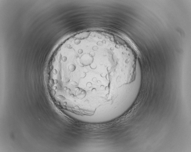 X0000115150955200912081344